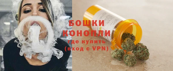 трава Аркадак