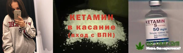 трава Аркадак