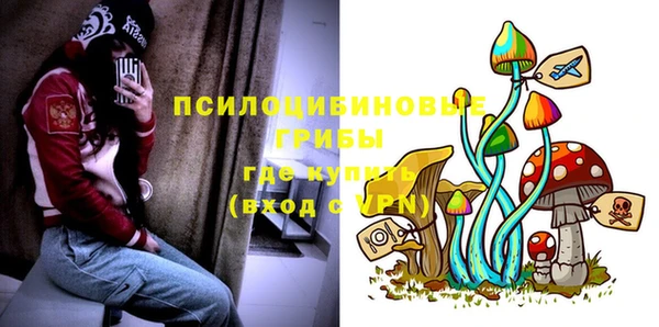мяу мяу мука Армянск
