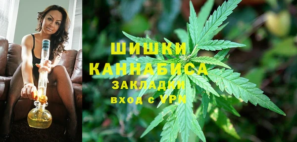 трава Аркадак